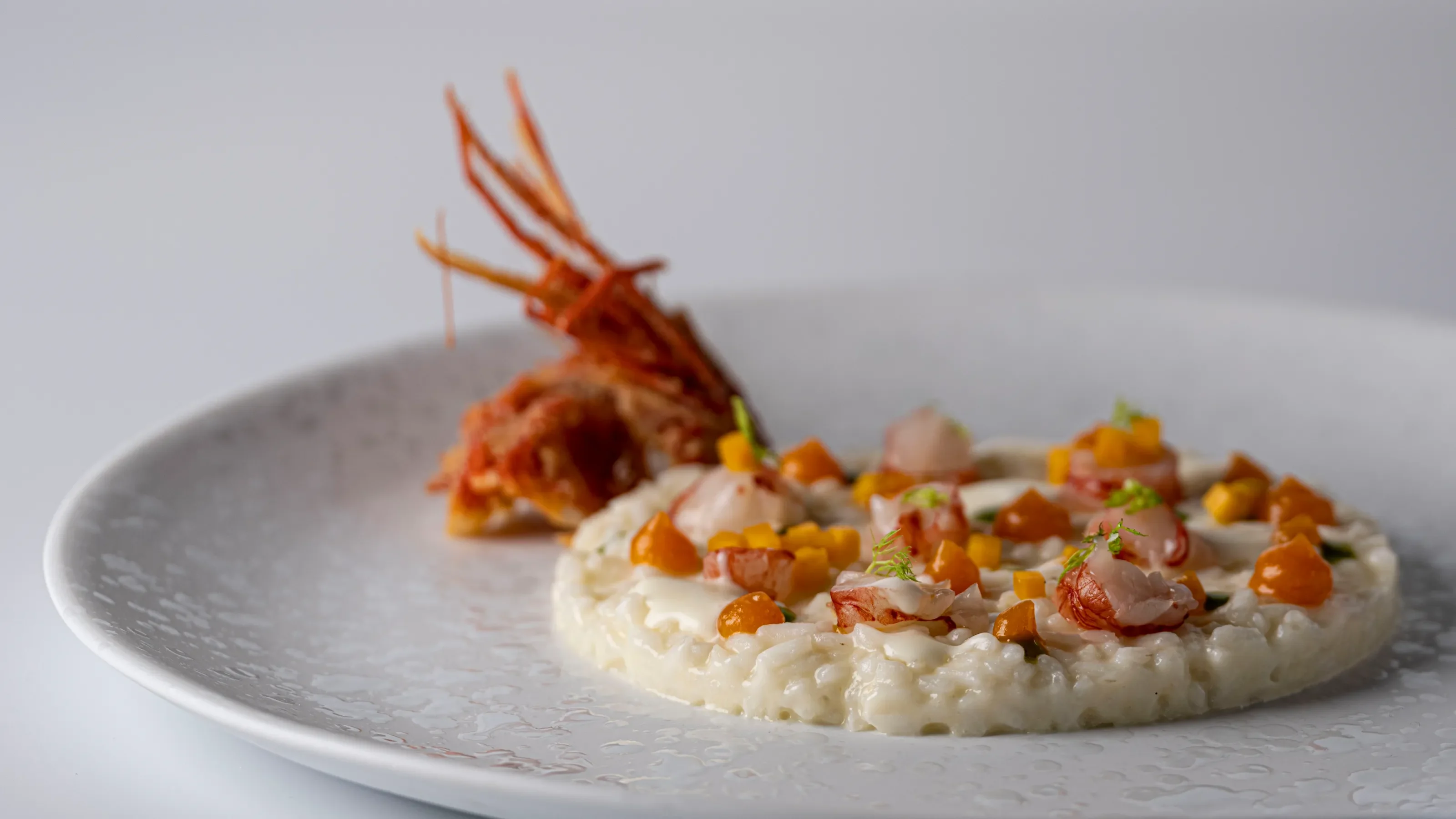 Proposta gastronomica dello chef Bartolucci